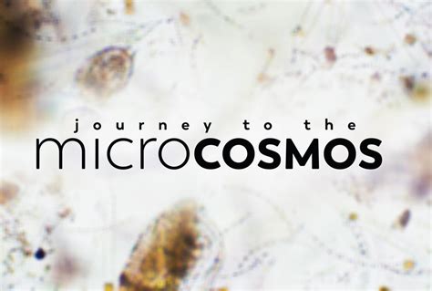 Journey to the Microcosmos: Eğitici Bir Oyunla Hücresel Dünyayı Keşfedin!